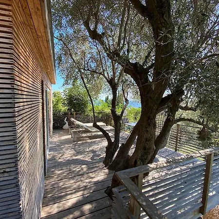 Vue Chic Dans L'olivier, Piscine Appartement