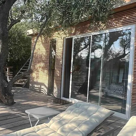 Vue Chic Dans L'olivier, Piscine Nice