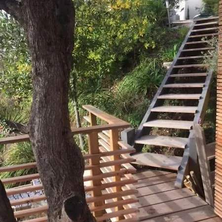 Vue Chic Dans L'olivier, Piscine