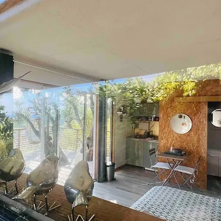 Vue Chic Dans L'olivier, Piscine