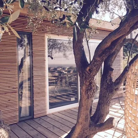 Vue Chic Dans L'olivier, Piscine 아파트 니스