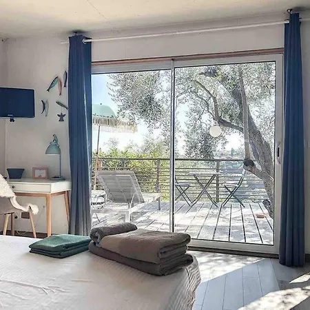 Apartment Vue Chic Dans L'olivier, Piscine Nice