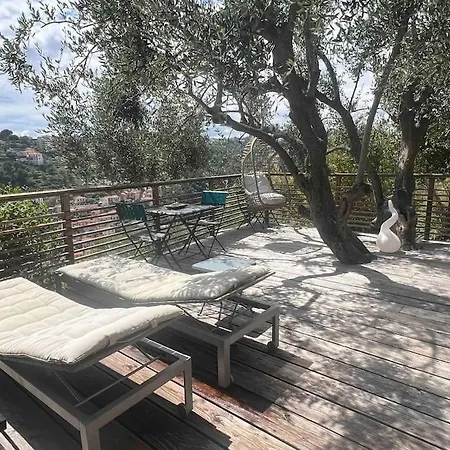 Apartment Vue Chic Dans L'olivier, Piscine Nice