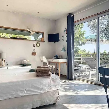 Apartment Vue Chic Dans L'olivier, Piscine Nice