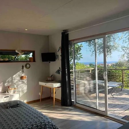 Vue Chic Dans L'olivier, Piscine * Nice