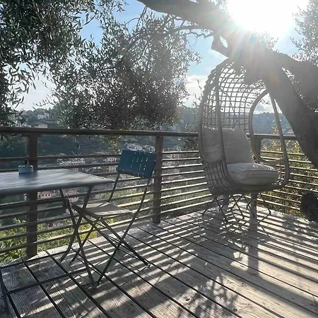 Vue Chic Dans L'olivier, Piscine *